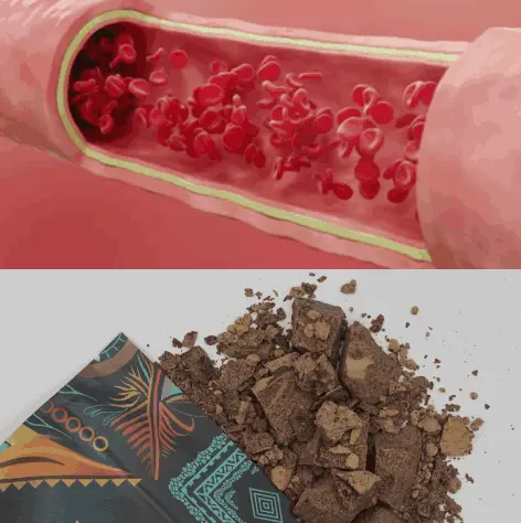 Illustration of blood cells in a vessel and broken chocolate pieces on a patterned wrapper.